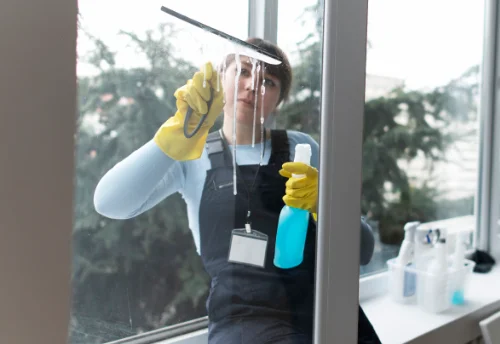 Nettoyage de vitres intérieures et extérieures à Saint-Just-Sauvage